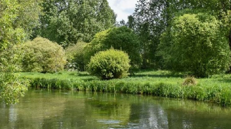 Protecting the River Itchen