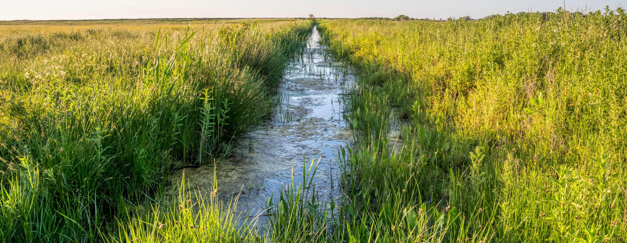 Vision & Values | About Us | Metcor